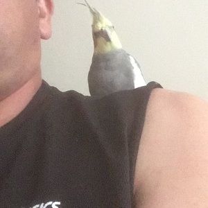 Meet your Posher, Robin